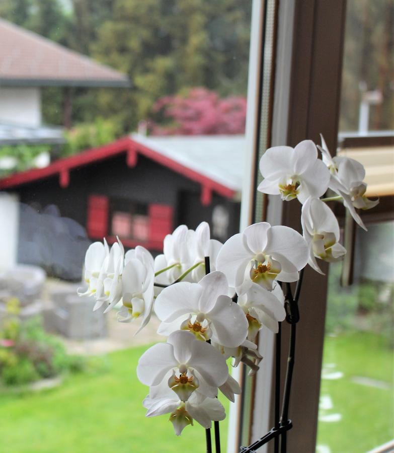 Gaestehaus Schmid Hotell Oberstaufen Exteriör bild